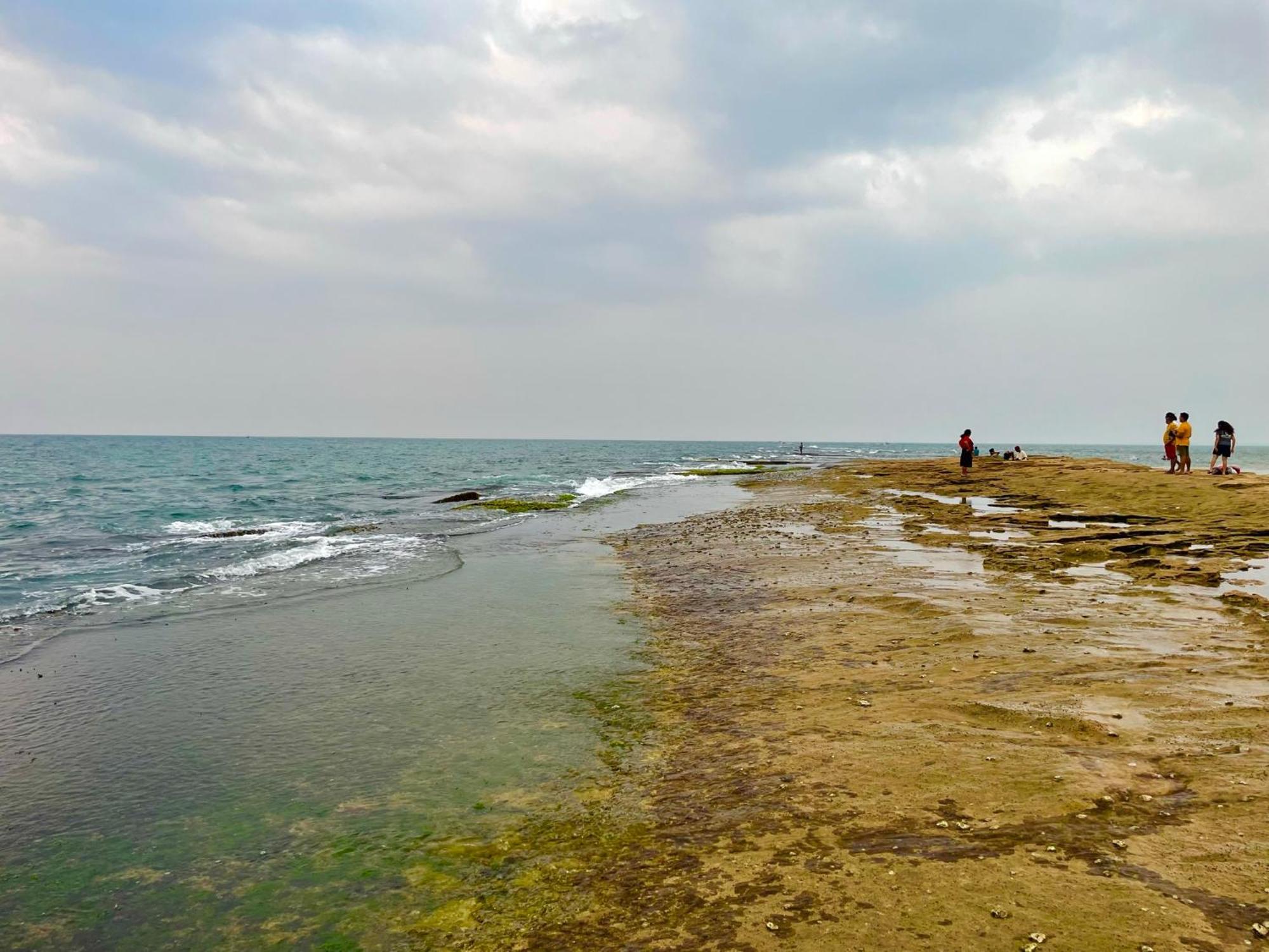 Negombo Morawala Beach Villa מראה חיצוני תמונה